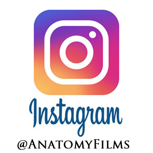 Anatomy Films Instagram